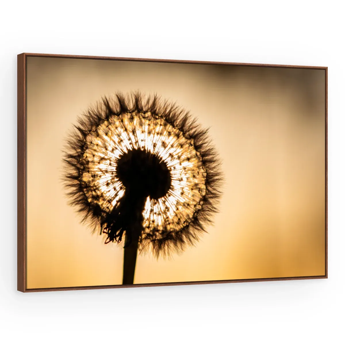 Quadro Decorativo Canvas Flor Contraluz - AF0016