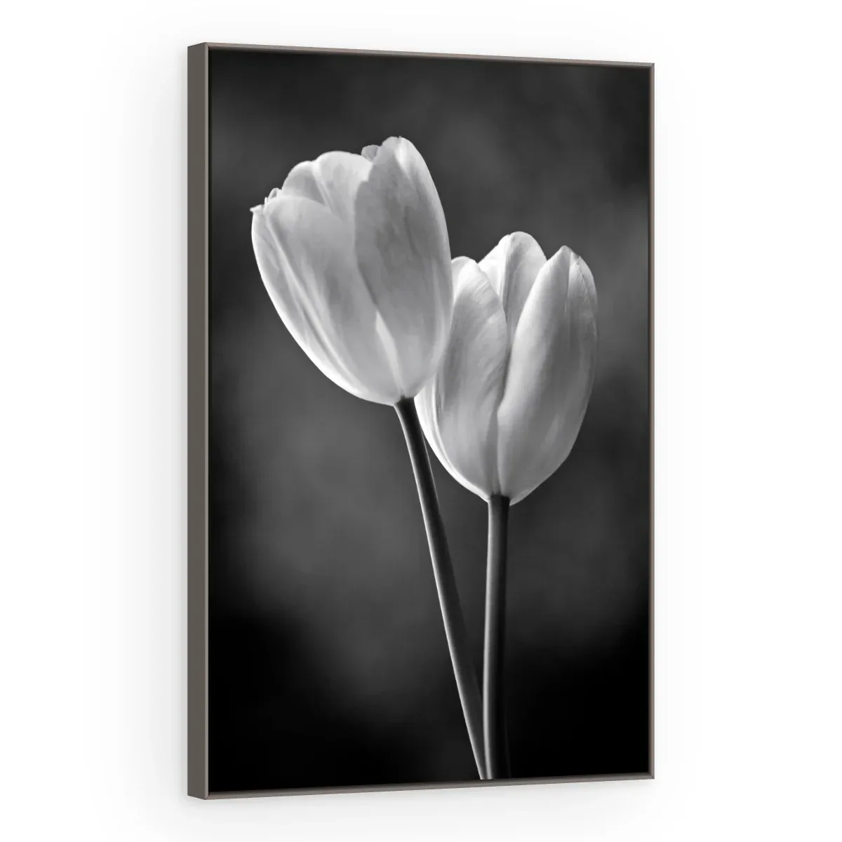 Quadro Decorativo Canvas Tulipas Monocromáticas - AF0017