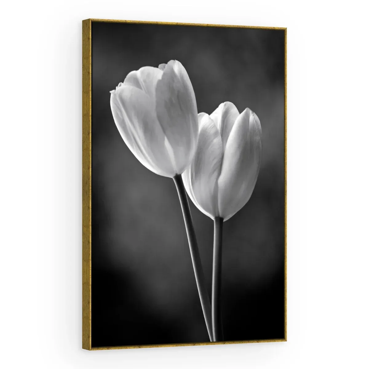 Quadro Decorativo Canvas Tulipas Monocromáticas - AF0017