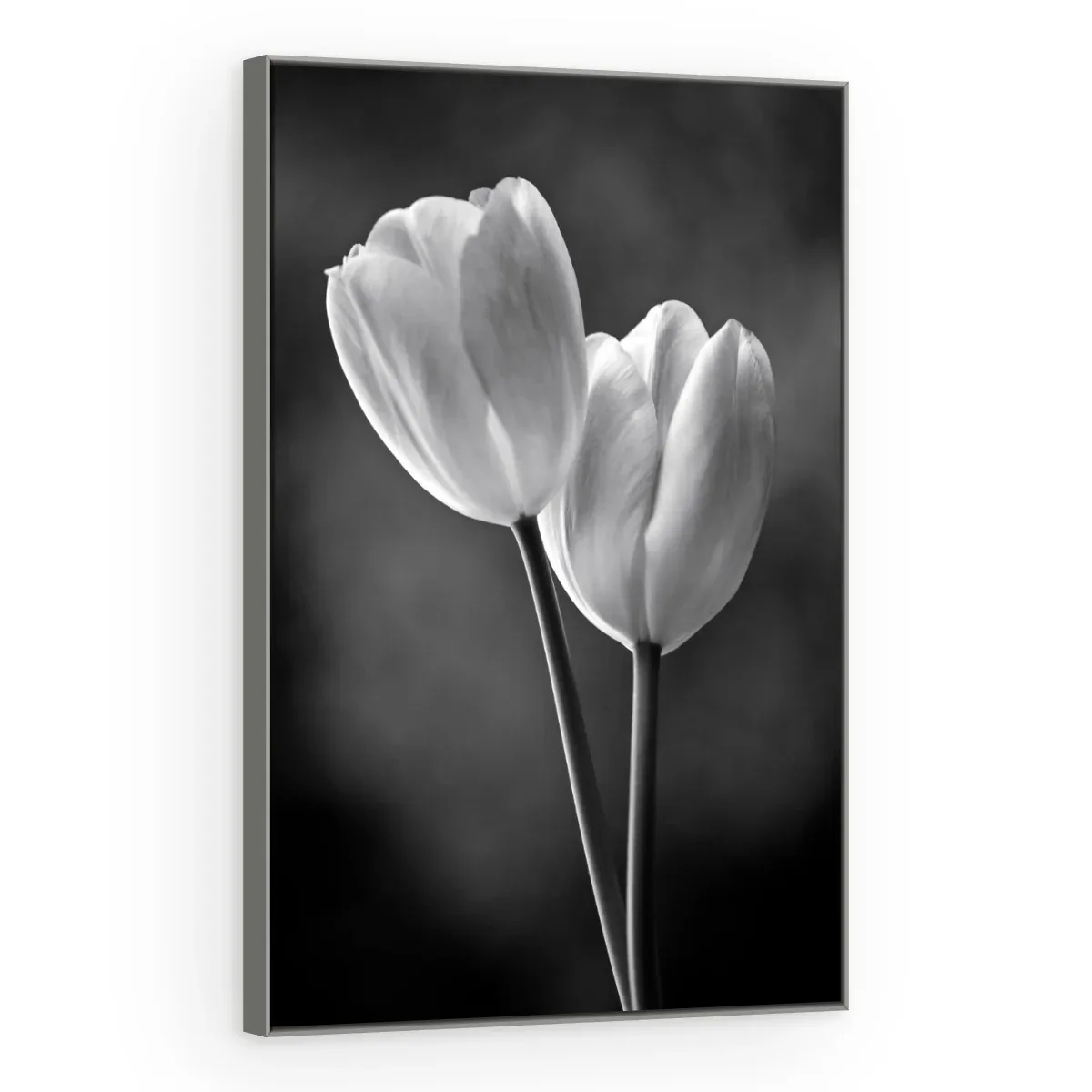 Quadro Decorativo Canvas Tulipas Monocromáticas - AF0017
