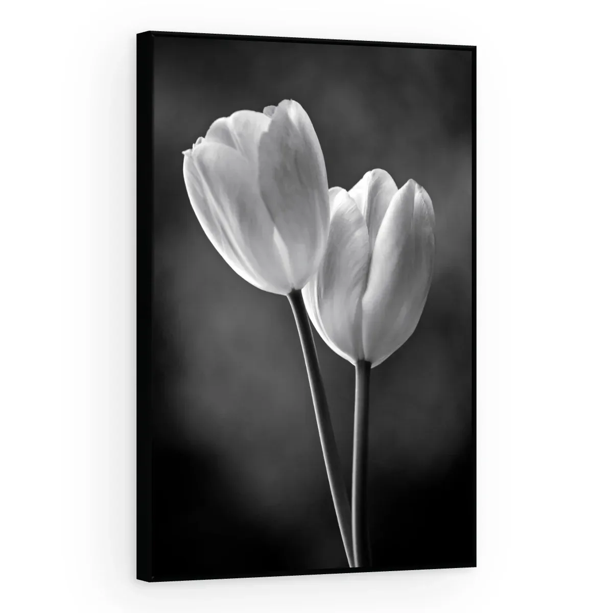 Quadro Decorativo Canvas Tulipas Monocromáticas - AF0017