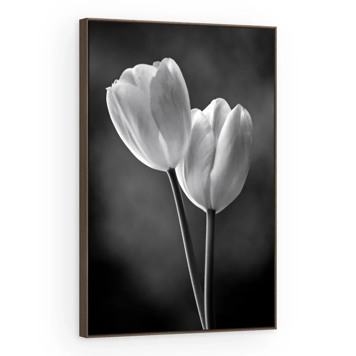 Quadro Decorativo Canvas Tulipas Monocromáticas - AF0017