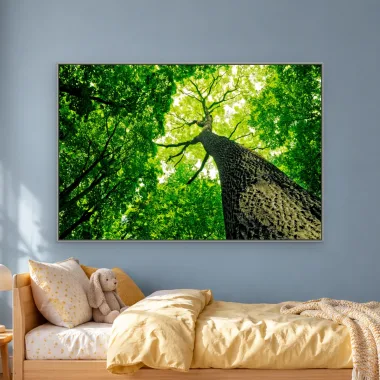 Quadro Decorativo Canvas Copa Verdejante - AF0021