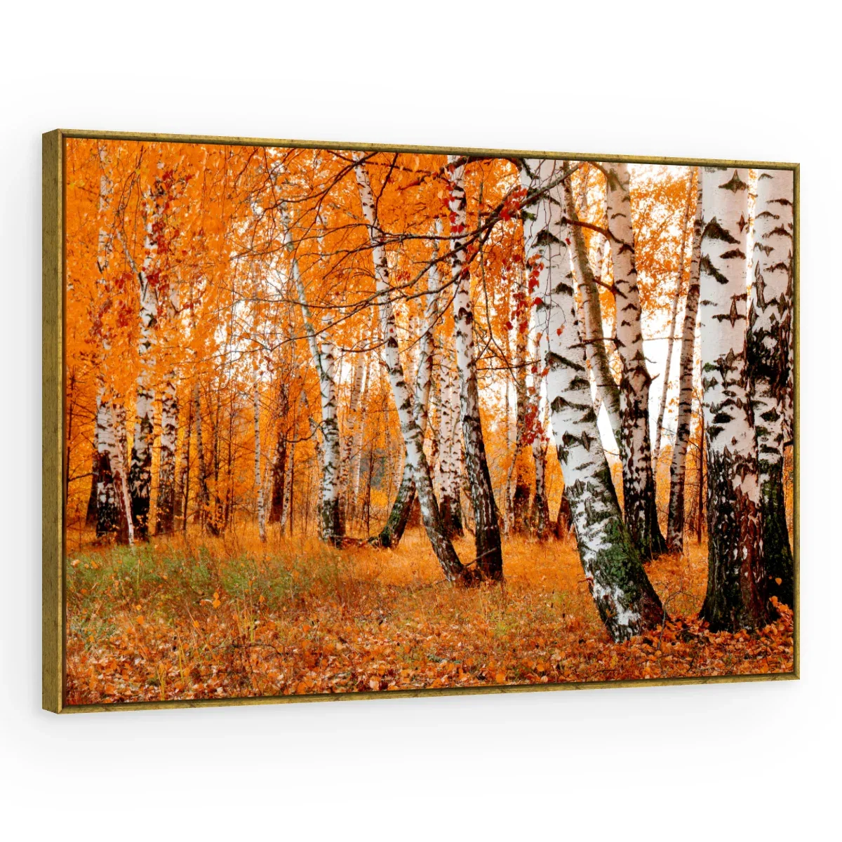 Quadro Decorativo Canvas Bosque Outonal - AF0022