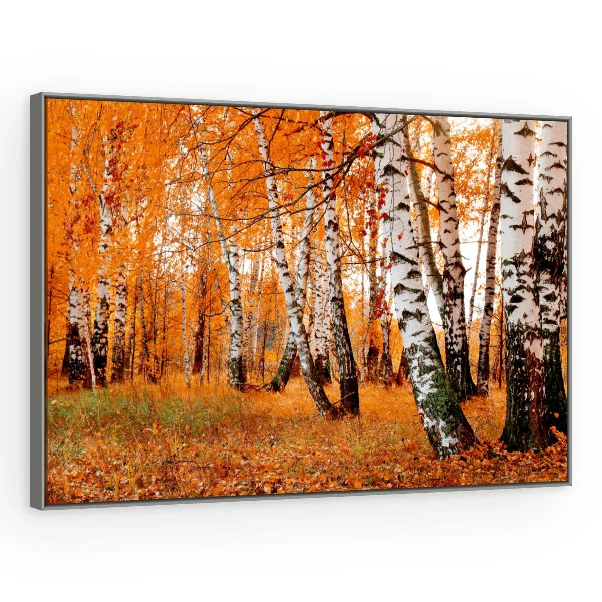 Quadro Decorativo Canvas Bosque Outonal - AF0022