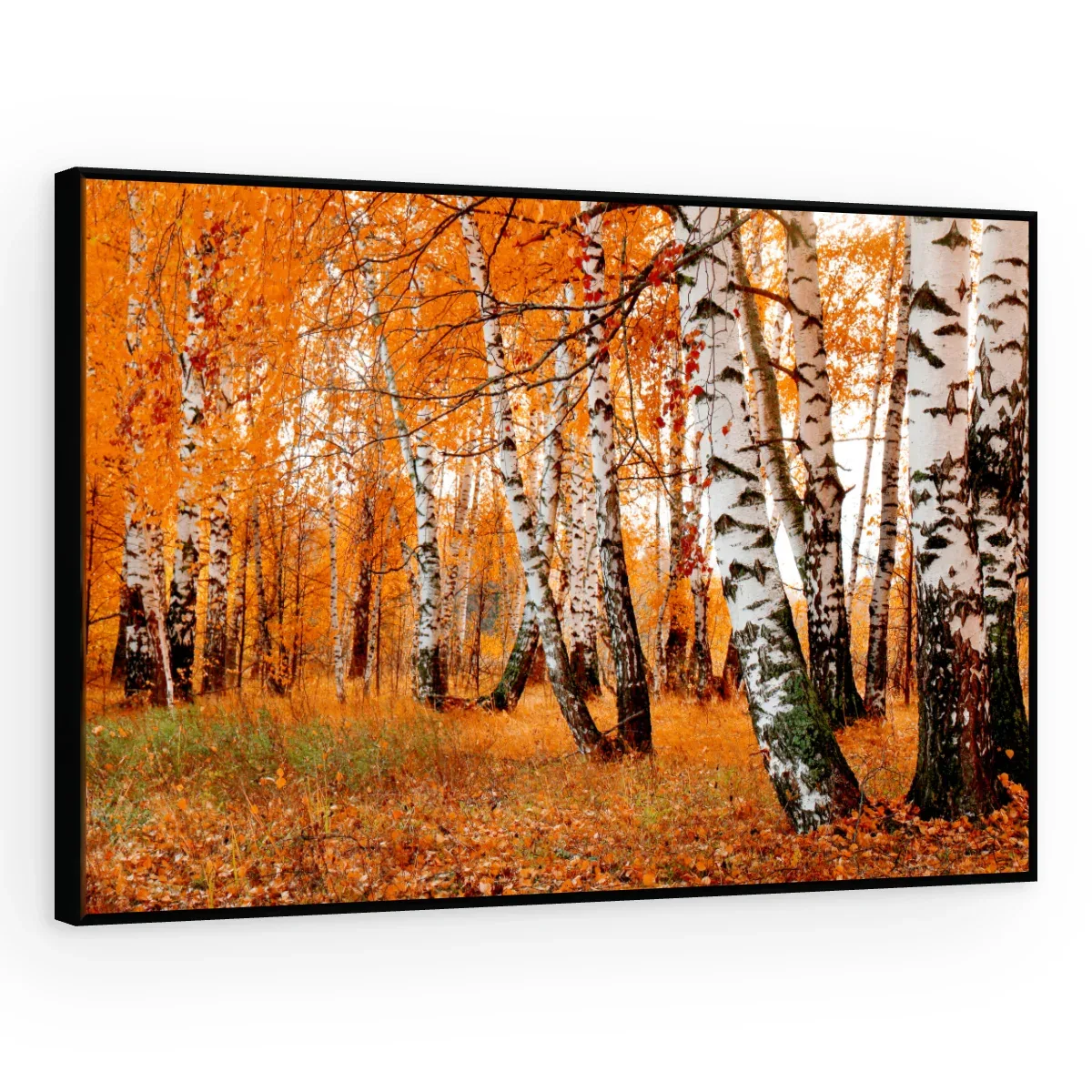 Quadro Decorativo Canvas Bosque Outonal - AF0022