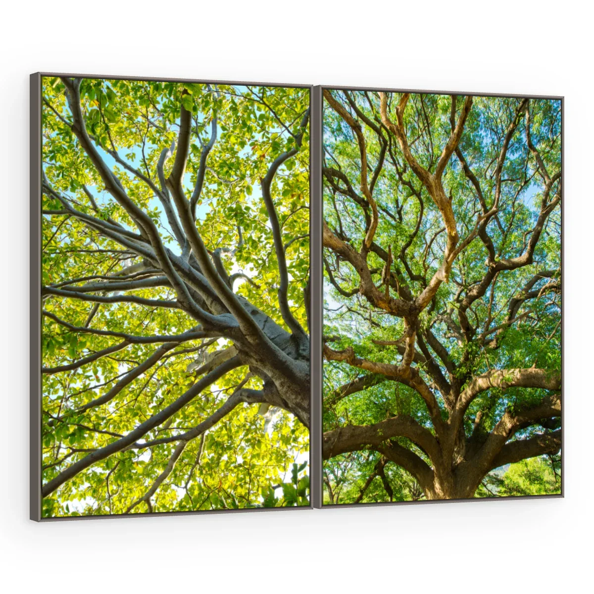 Quadro Decorativo Canvas AF00240091