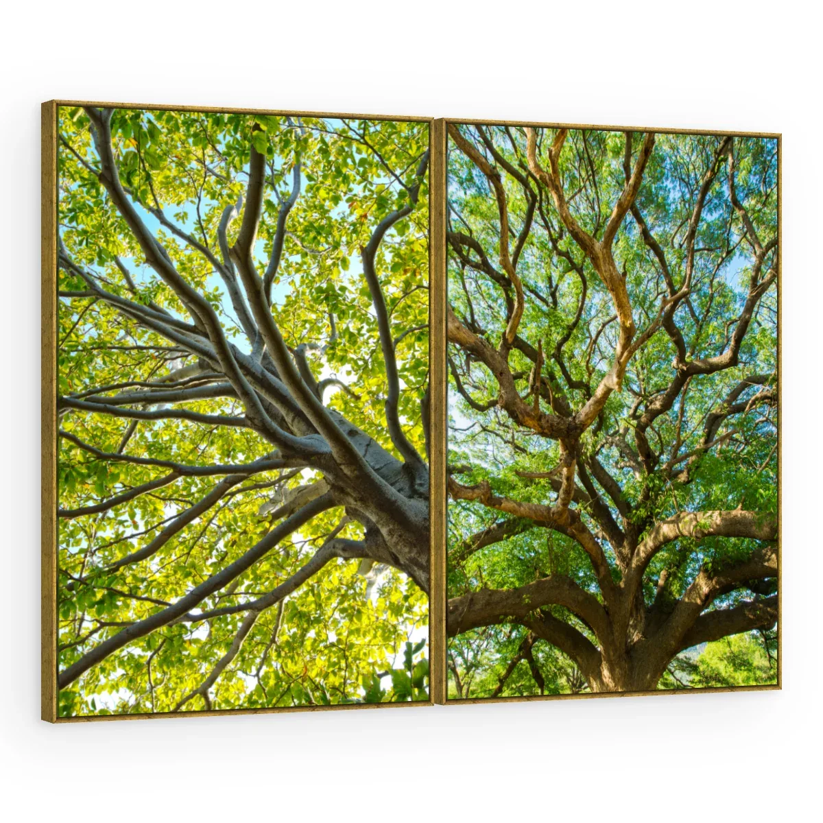 Quadro Decorativo Canvas AF00240091