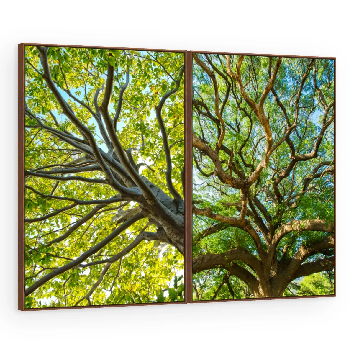 Quadro Decorativo Canvas AF00240091