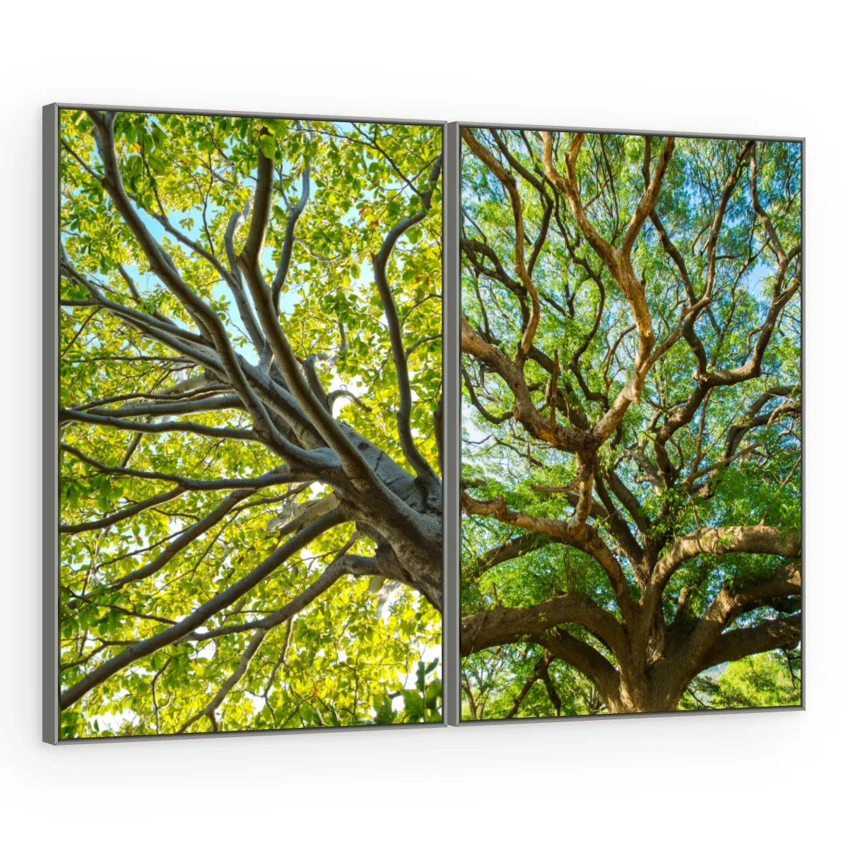 Quadro Decorativo Canvas AF00240091