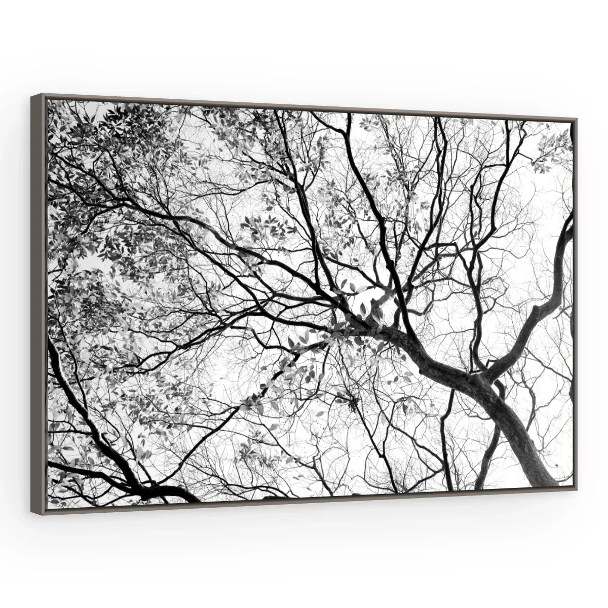 Quadro Decorativo Canvas Galhos Minimalistas - AF0025