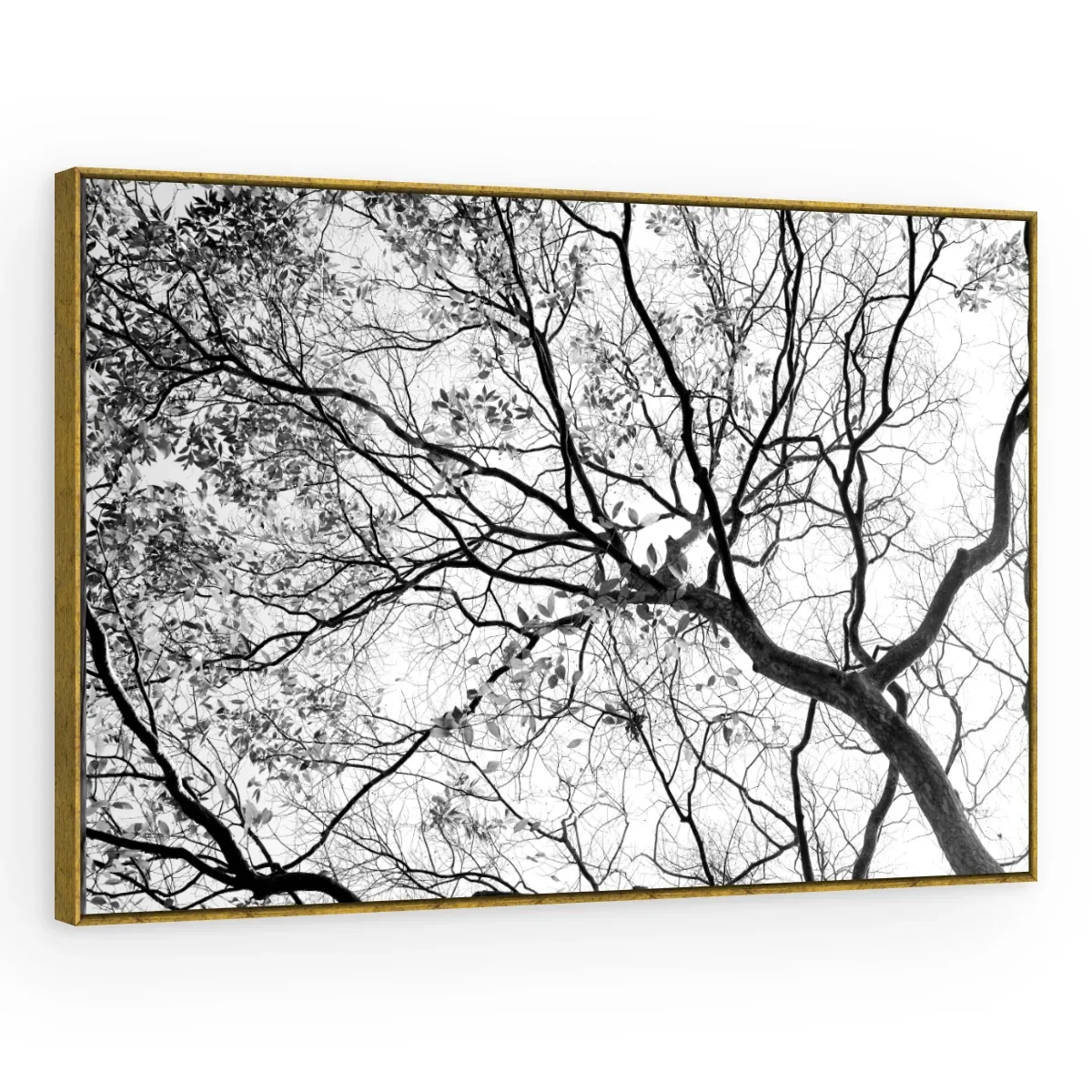 Quadro Decorativo Canvas Galhos Minimalistas - AF0025