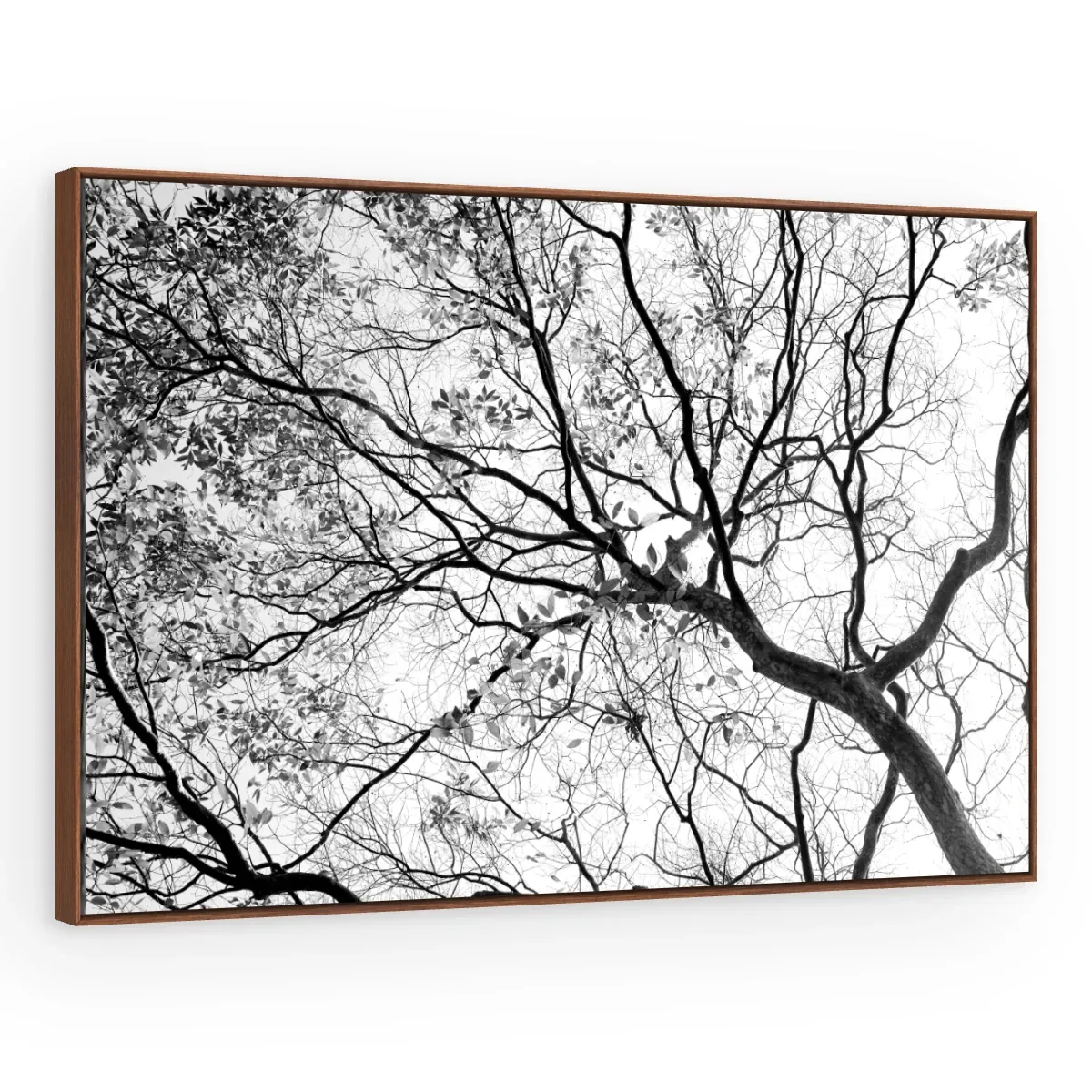 Quadro Decorativo Canvas Galhos Minimalistas - AF0025