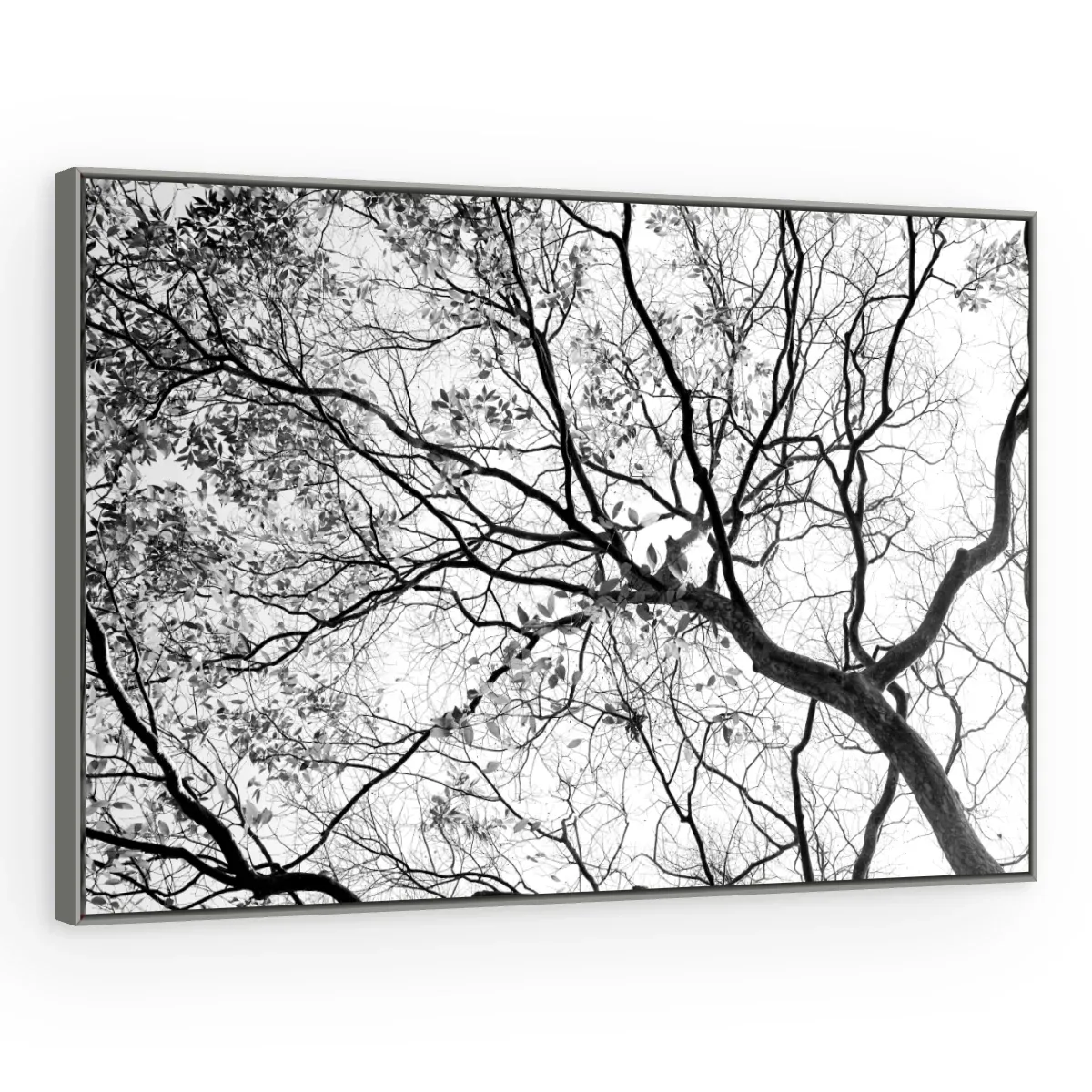 Quadro Decorativo Canvas Galhos Minimalistas - AF0025