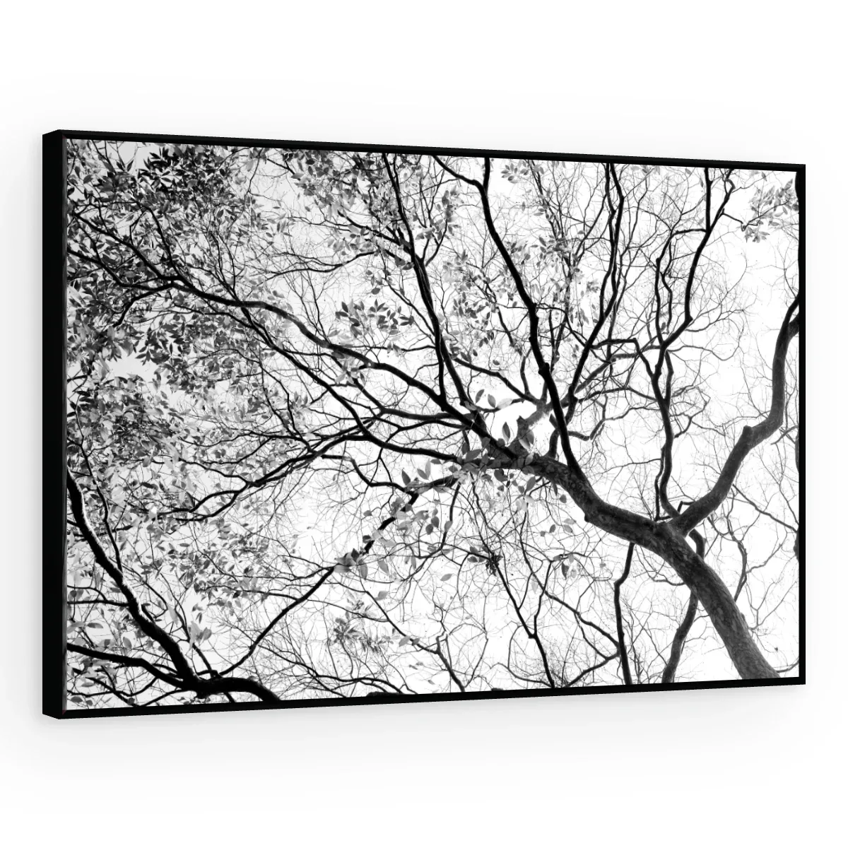 Quadro Decorativo Canvas Galhos Minimalistas - AF0025