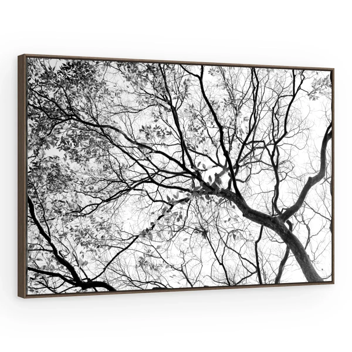 Quadro Decorativo Canvas Galhos Minimalistas - AF0025