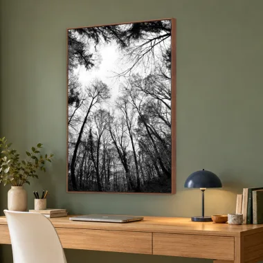 Quadro Decorativo Canvas Floresta Monocromática - AF0027