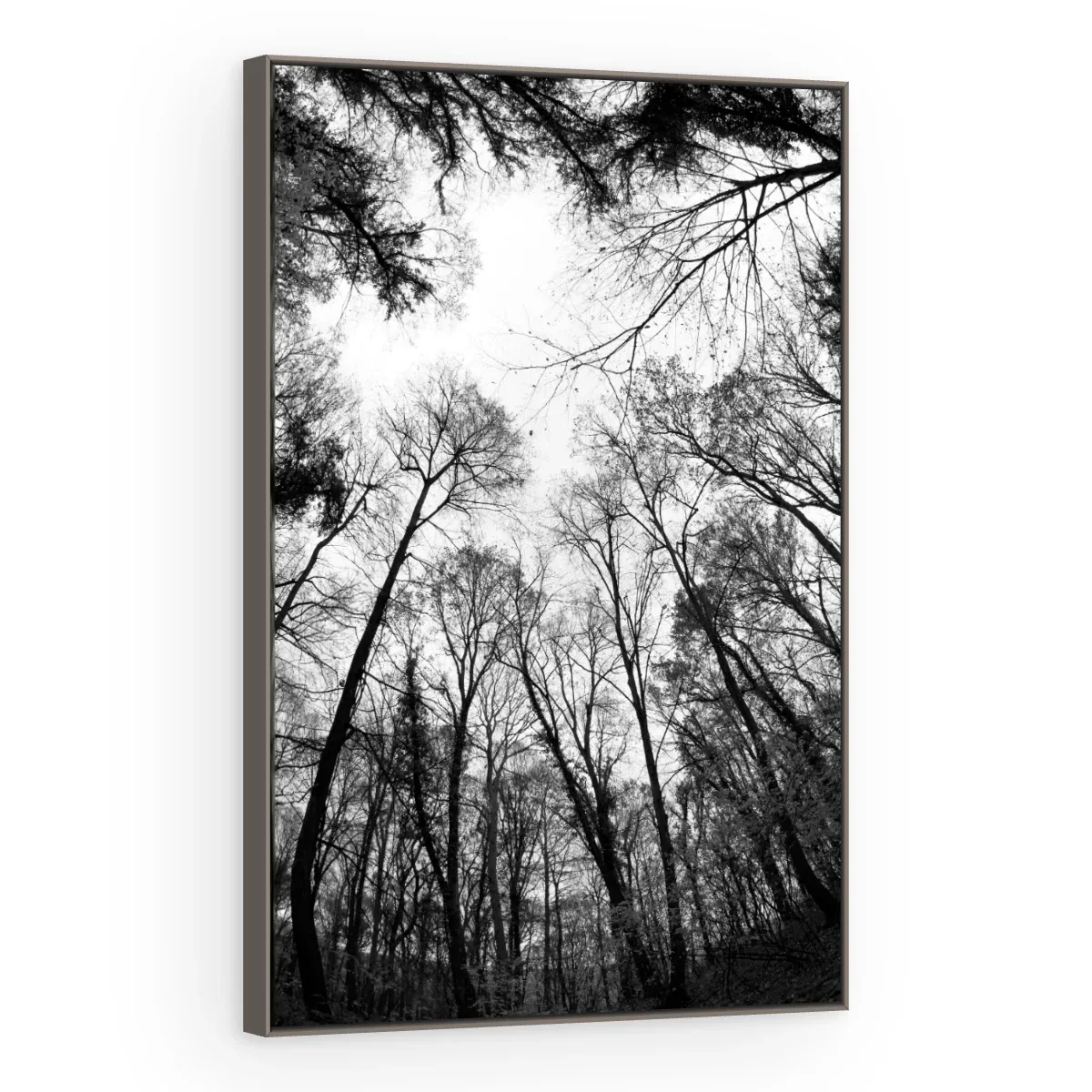 Quadro Decorativo Canvas Floresta Monocromática - AF0027