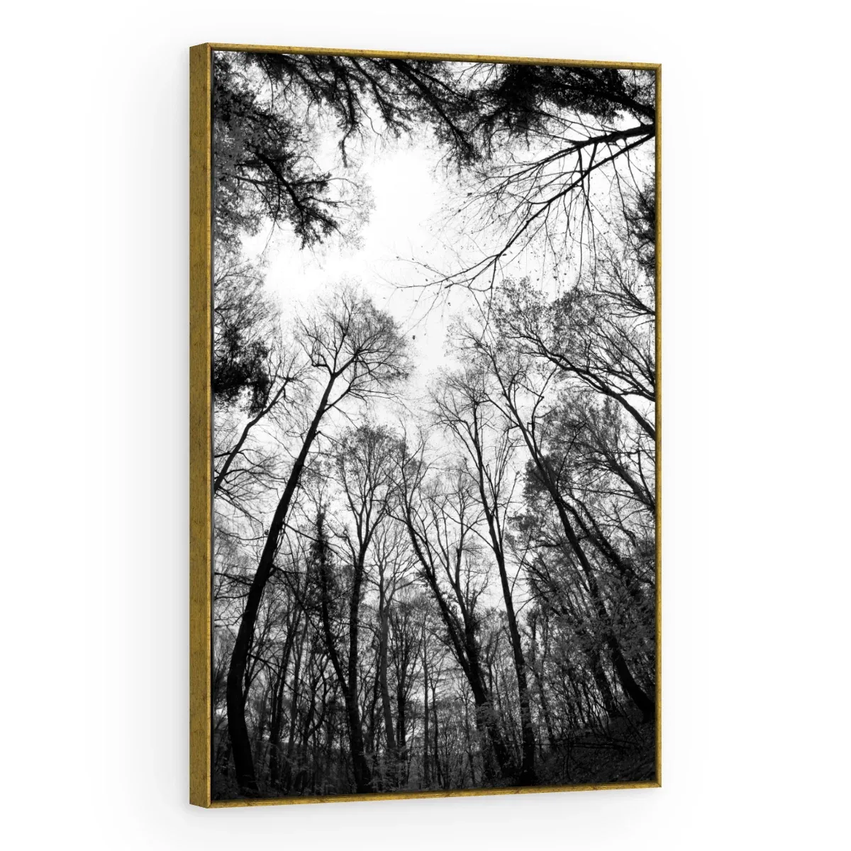 Quadro Decorativo Canvas Floresta Monocromática - AF0027