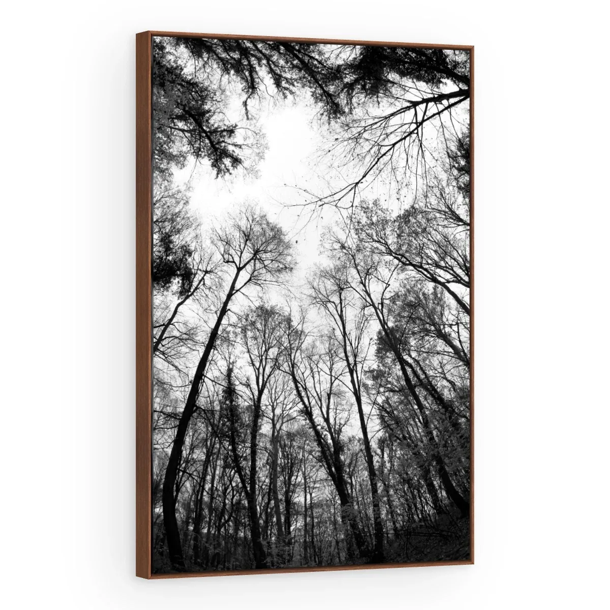 Quadro Decorativo Canvas Floresta Monocromática - AF0027