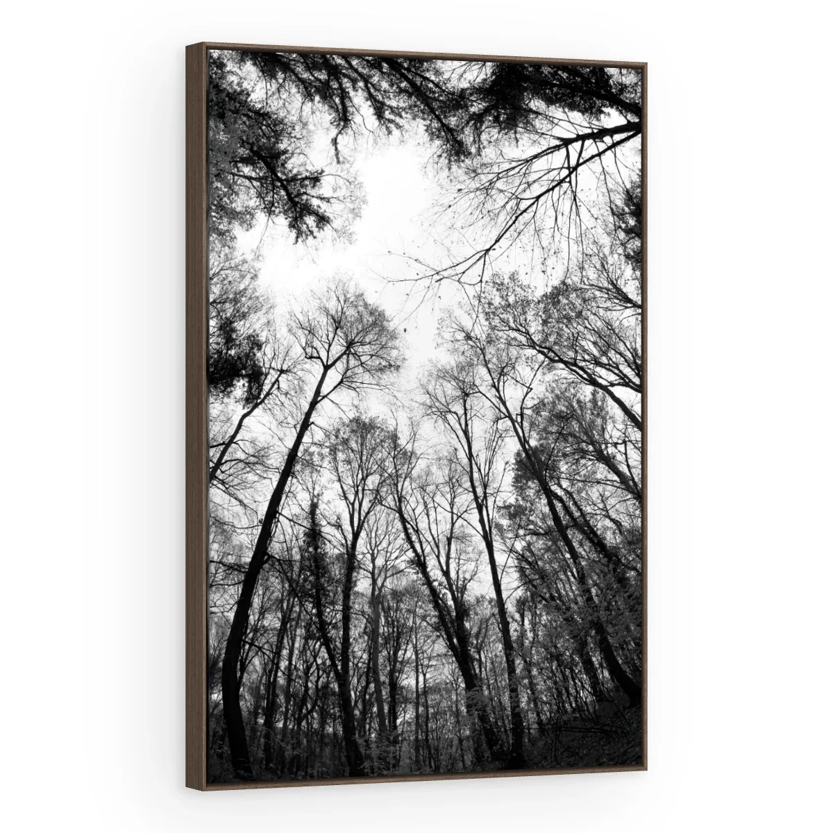 Quadro Decorativo Canvas Floresta Monocromática - AF0027