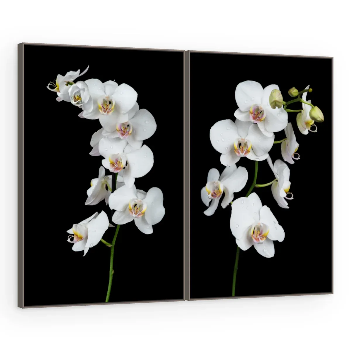 Quadro Decorativo Canvas AF00300031