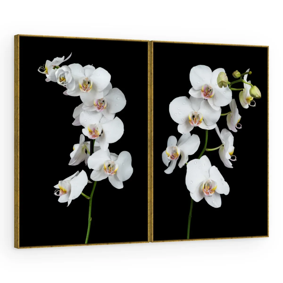 Quadro Decorativo Canvas AF00300031