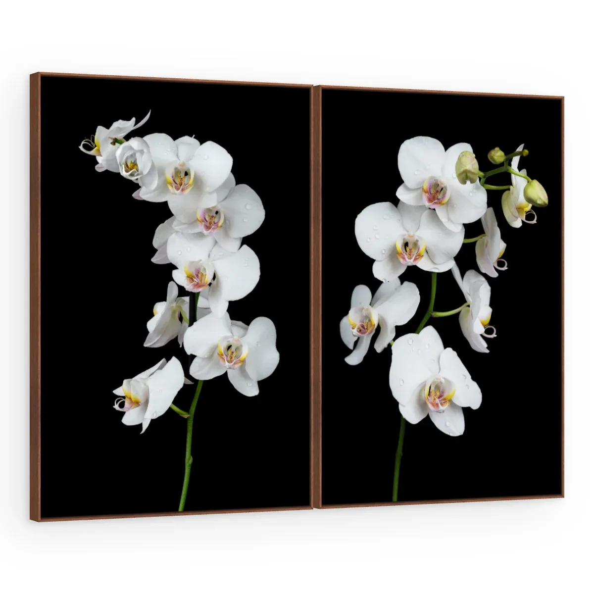 Quadro Decorativo Canvas AF00300031