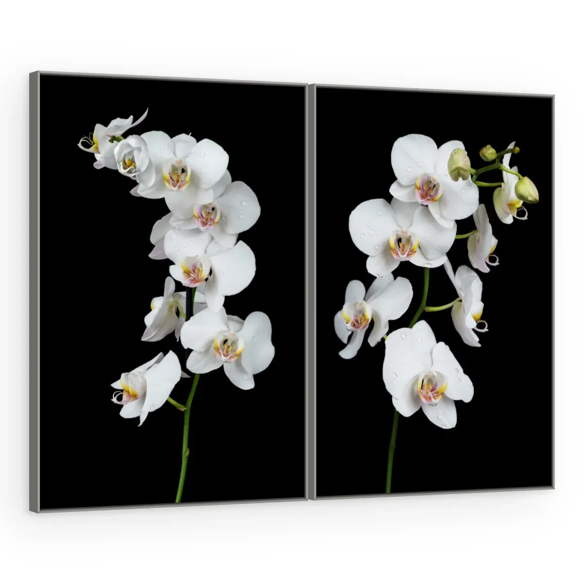 Quadro Decorativo Canvas AF00300031