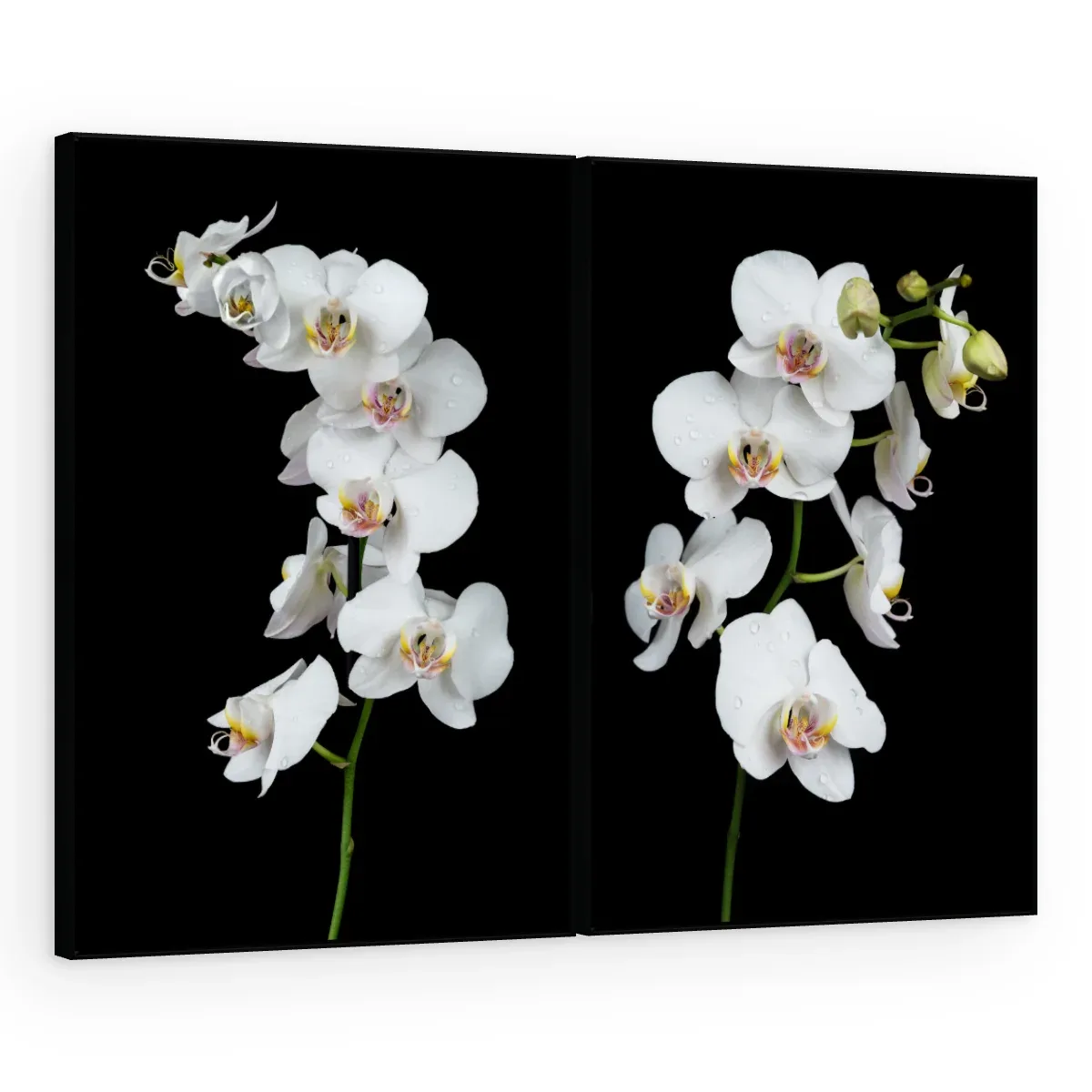 Quadro Decorativo Canvas AF00300031