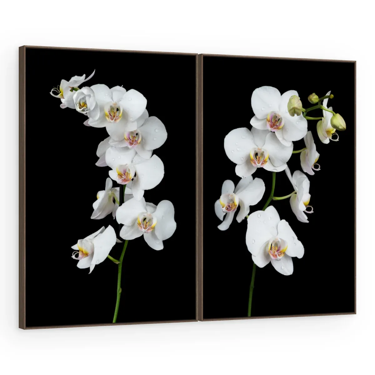 Quadro Decorativo Canvas AF00300031