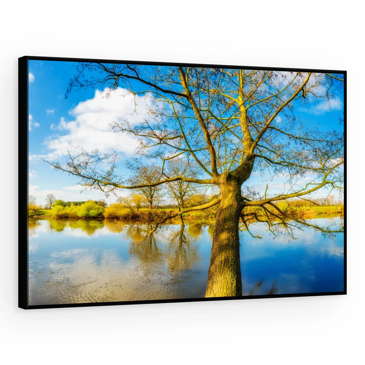 Quadro Decorativo Canvas Árvore Espelhada - AF0032