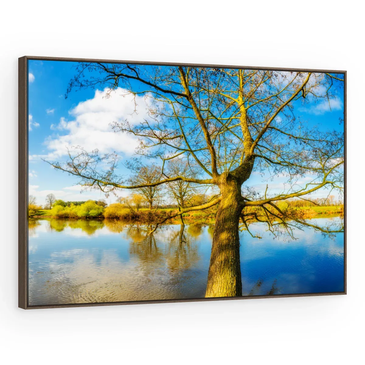 Quadro Decorativo Canvas Árvore Espelhada - AF0032