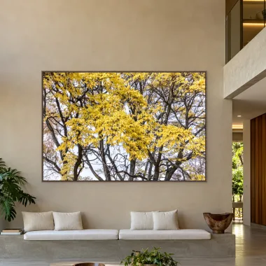 Quadro Decorativo Canvas Ipê Amarelo - AF0079