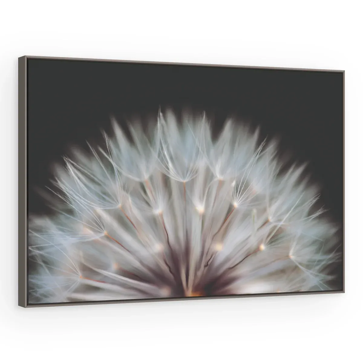 Quadro Decorativo Canvas Sementes Cristalinas - AF0081