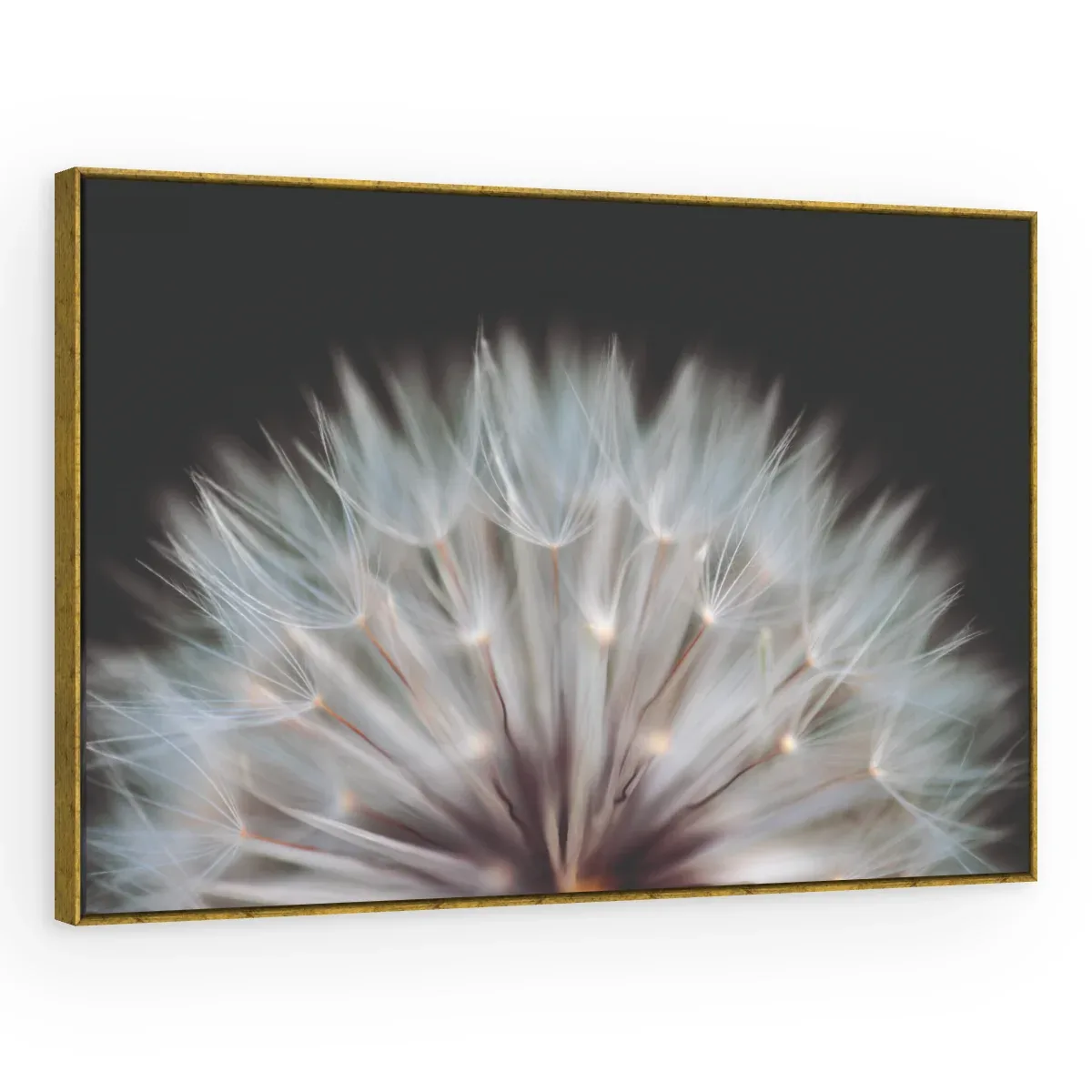 Quadro Decorativo Canvas Sementes Cristalinas - AF0081