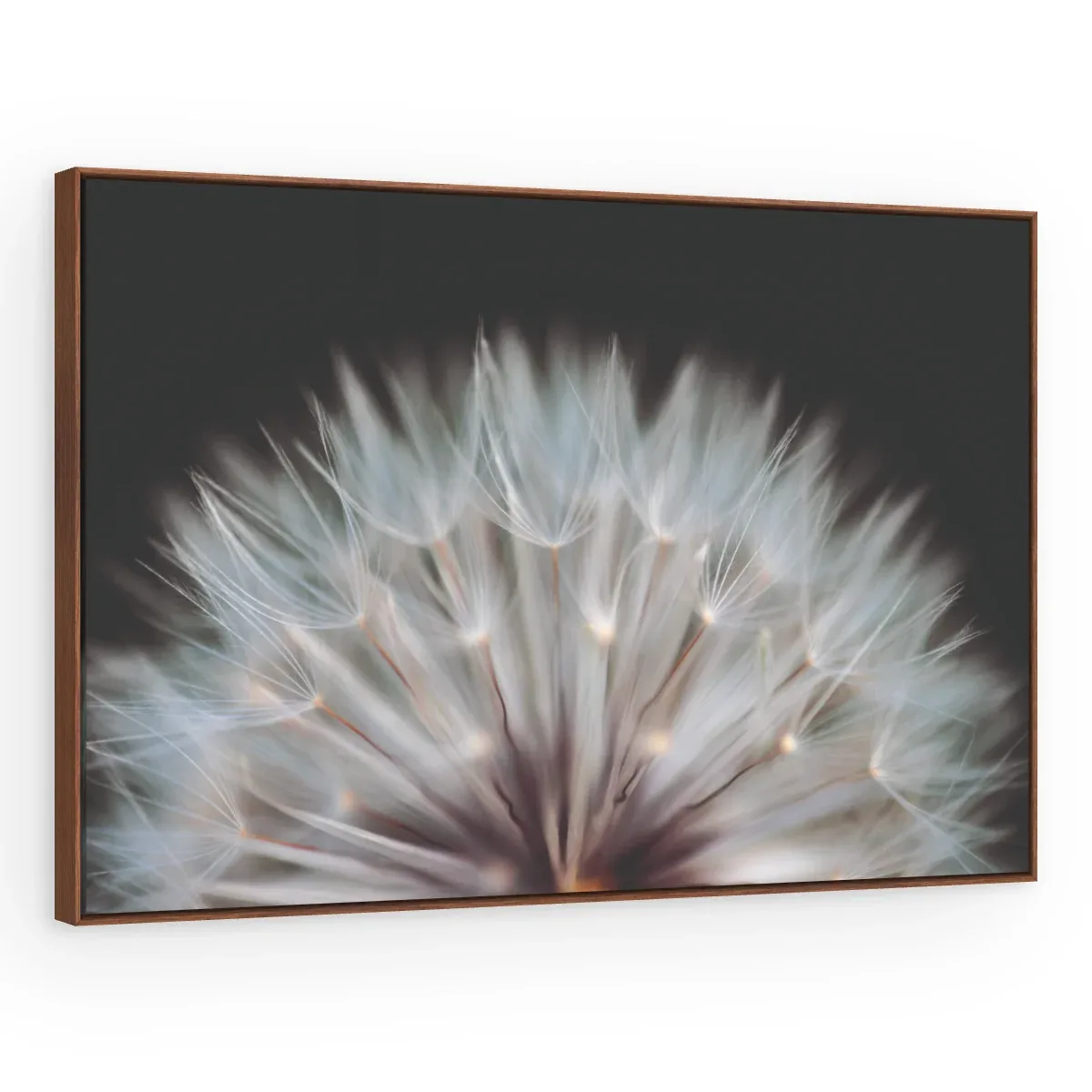 Quadro Decorativo Canvas Sementes Cristalinas - AF0081