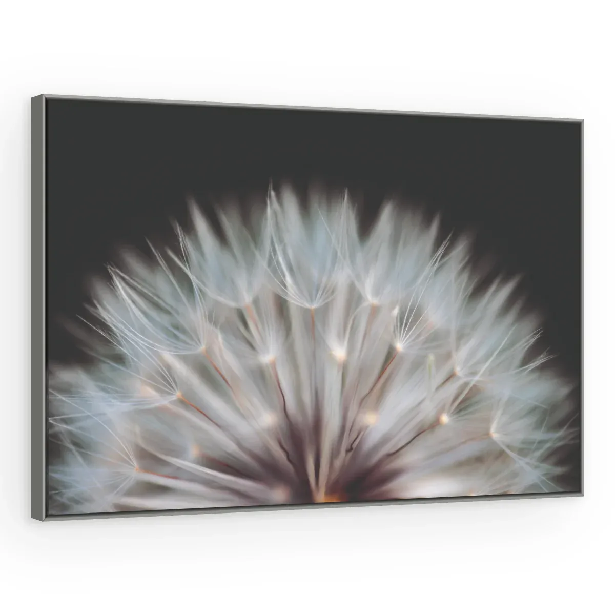 Quadro Decorativo Canvas Sementes Cristalinas - AF0081