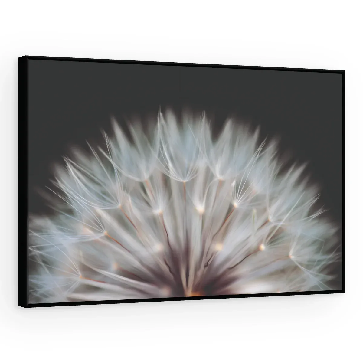 Quadro Decorativo Canvas Sementes Cristalinas - AF0081