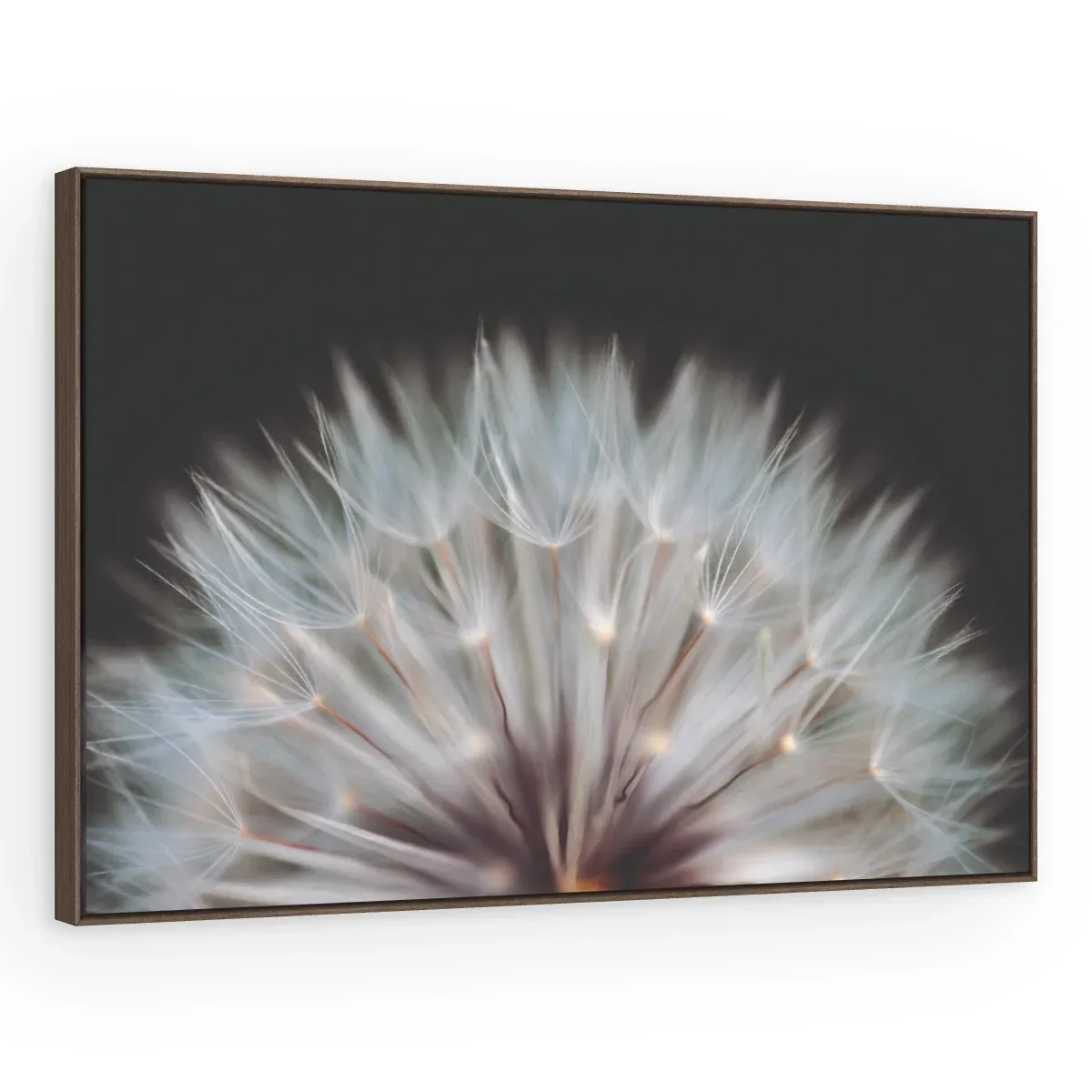 Quadro Decorativo Canvas Sementes Cristalinas - AF0081