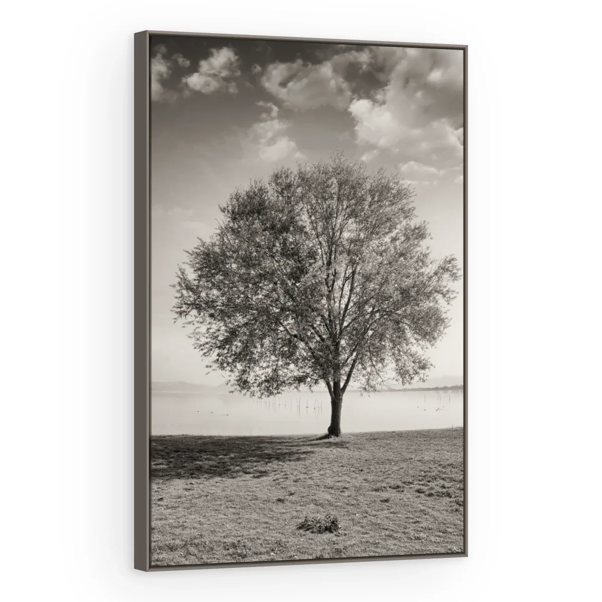 Quadro Decorativo Canvas Árvore Solitária - AF0083
