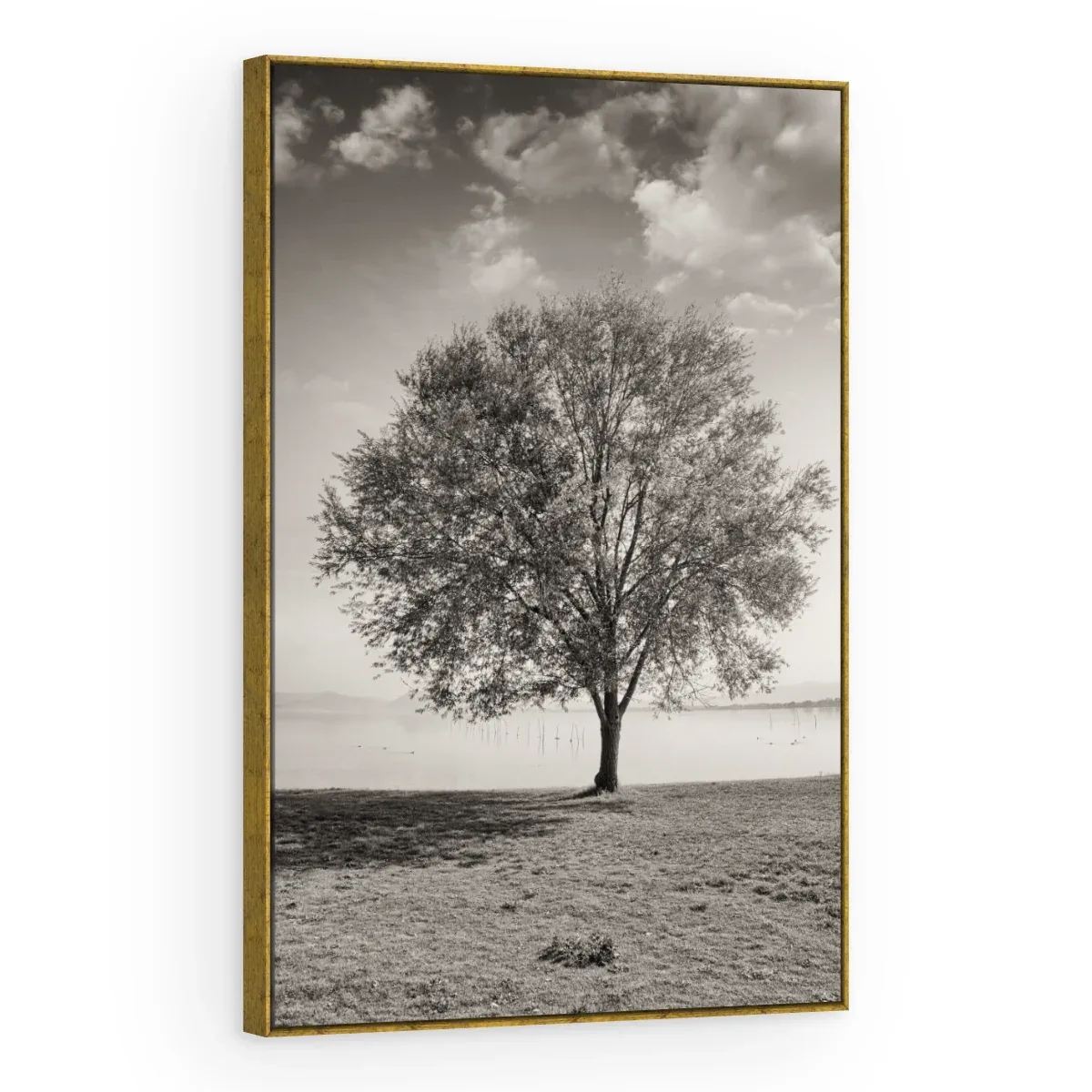 Quadro Decorativo Canvas Árvore Solitária - AF0083