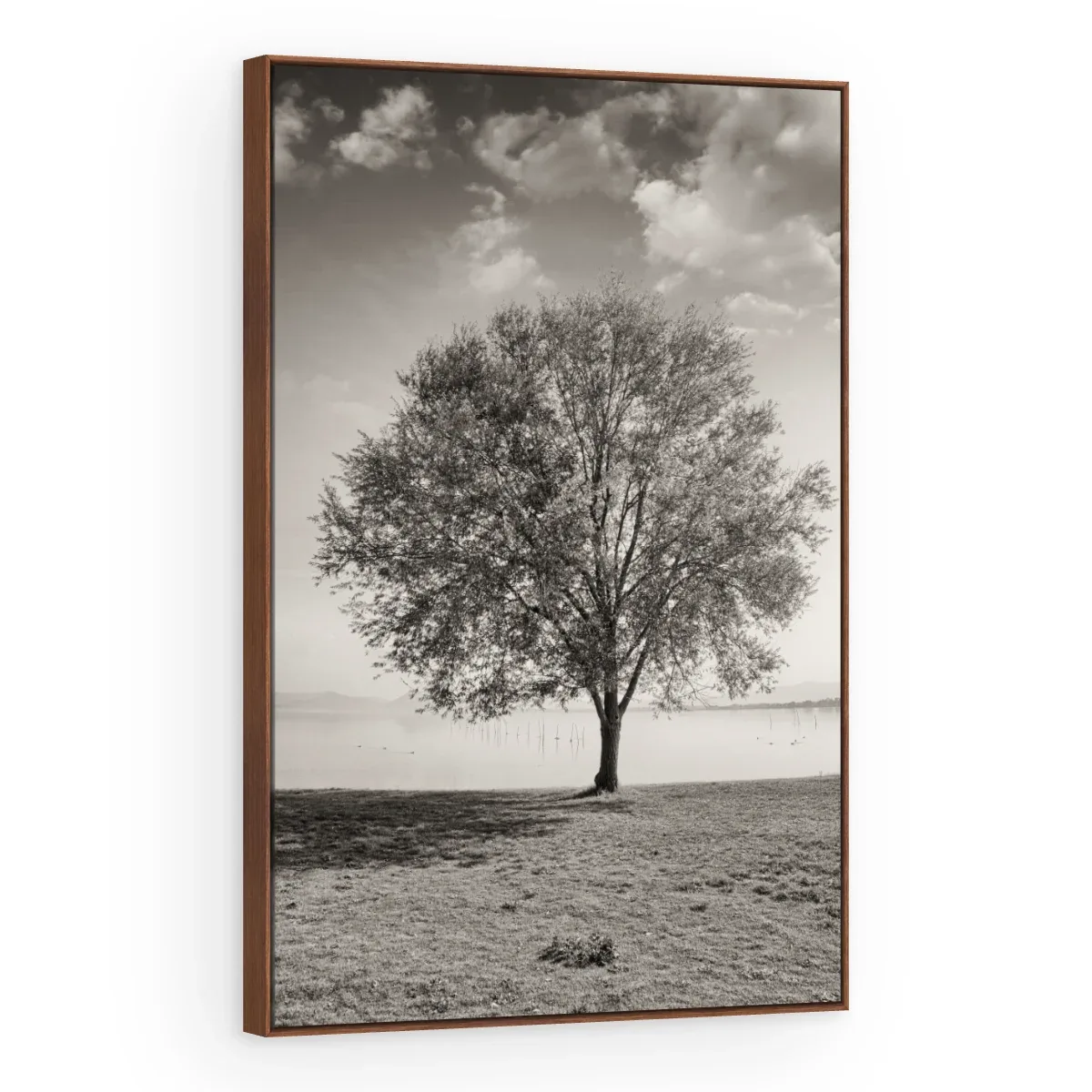 Quadro Decorativo Canvas Árvore Solitária - AF0083