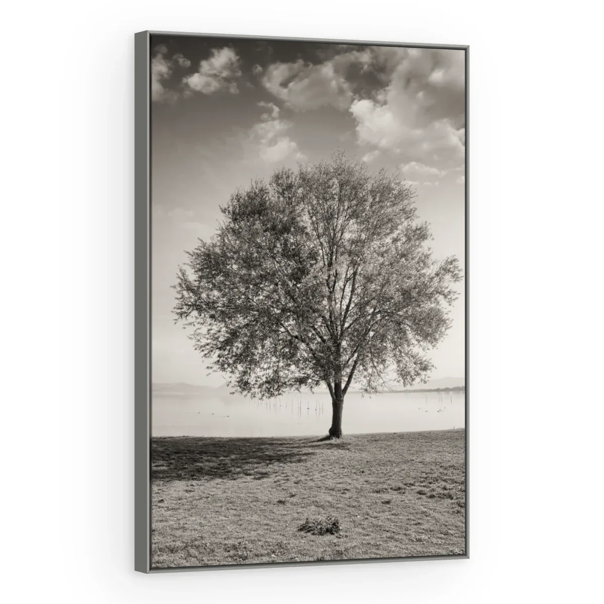 Quadro Decorativo Canvas Árvore Solitária - AF0083