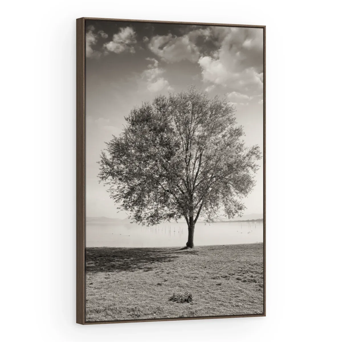 Quadro Decorativo Canvas Árvore Solitária - AF0083