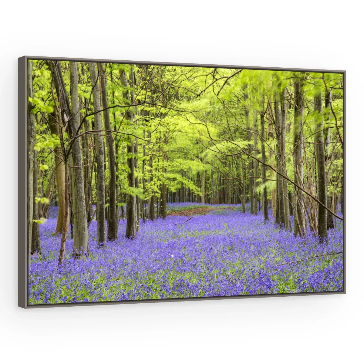 Quadro Decorativo Canvas Bosque Violeta - AF0084
