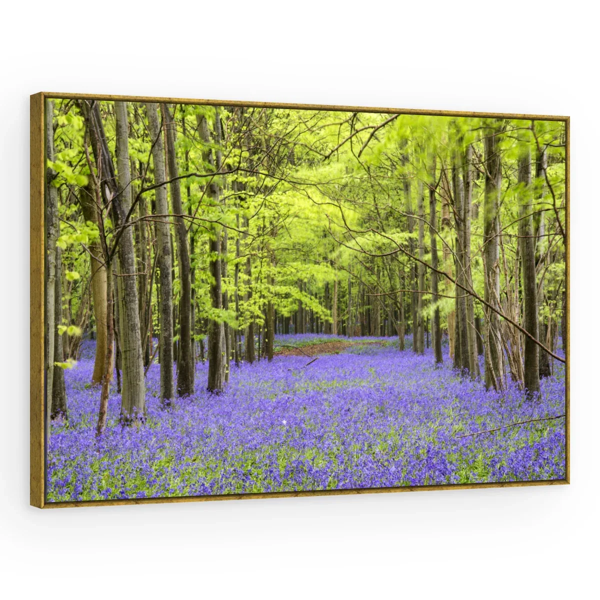 Quadro Decorativo Canvas Bosque Violeta - AF0084
