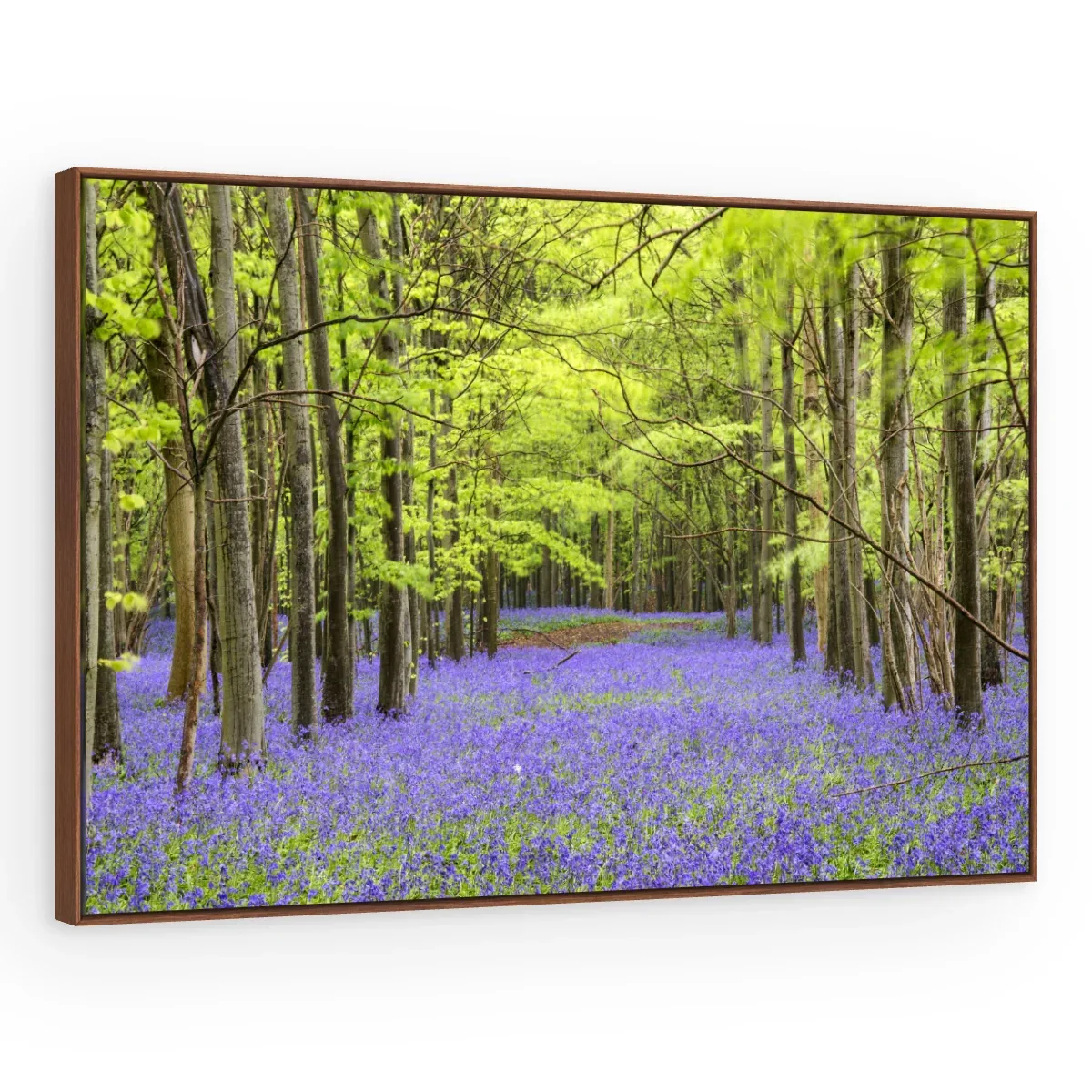 Quadro Decorativo Canvas Bosque Violeta - AF0084