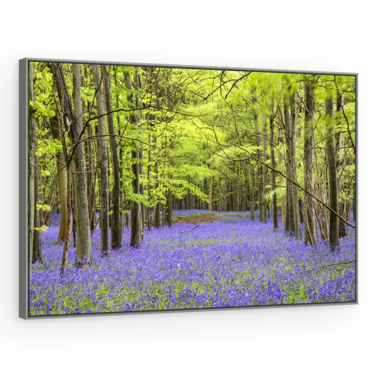 Quadro Decorativo Canvas Bosque Violeta - AF0084