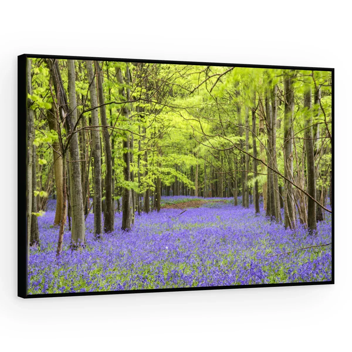 Quadro Decorativo Canvas Bosque Violeta - AF0084